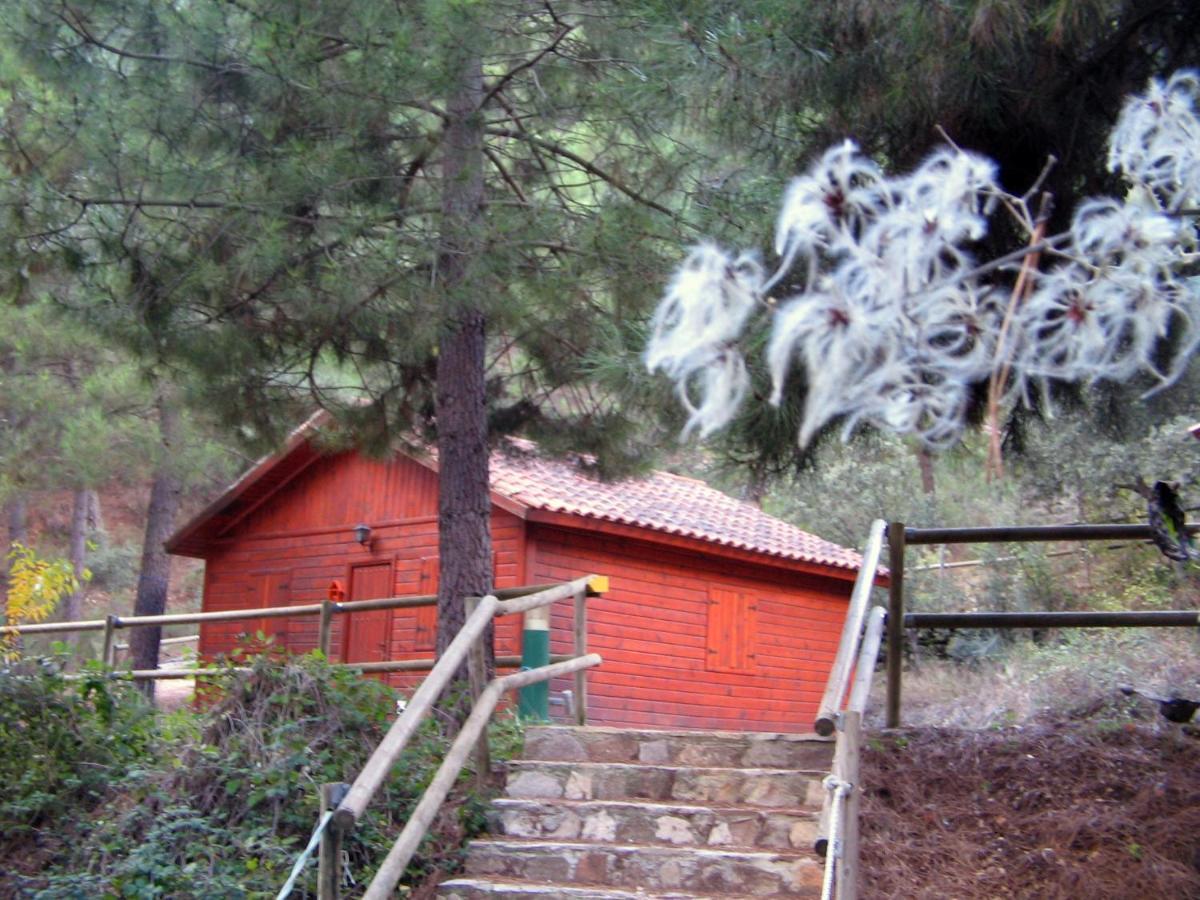 Cabanas La Toma Del Agua Riopar Exterior photo